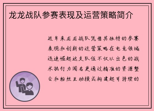 龙龙战队参赛表现及运营策略简介